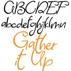 zp gather it up