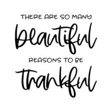 there are so many beautiful reasons to be thankful