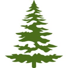 christmas tree and snow