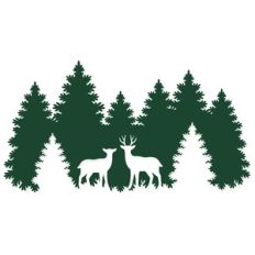 deer in a forest