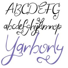 zp yarborly