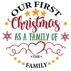 our first christmas as a family of