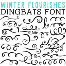 cg winter flourishes dingbats