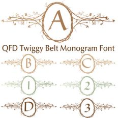 qfd twiggy belt monogram font