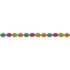 dna border