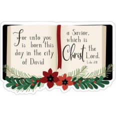 luke 2 book