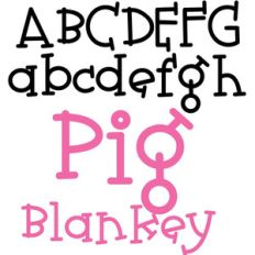 pn pig blankey