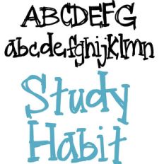 zp study habit