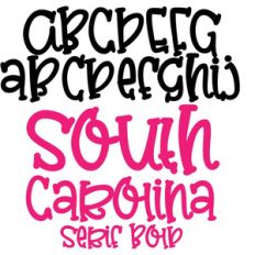 pn south carolina serif bold