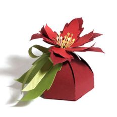 poinsettia box
