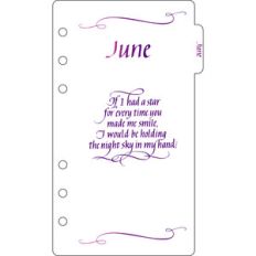 elegant planner a6 binder june divider