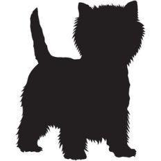 westie standing