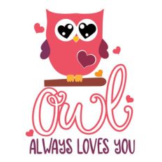 owl always loves you