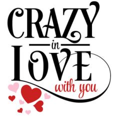 crazy in love with you