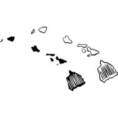 so cute type states - hawaii