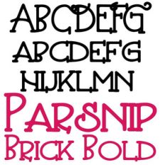 zp parsnip brick bold