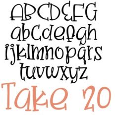 zp take twenty