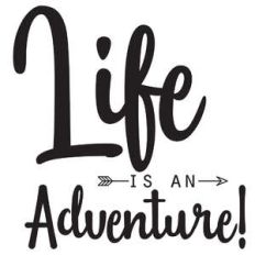 life is an adventure arrow quote