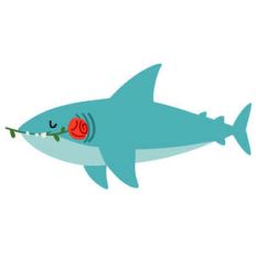 valentine's day shark