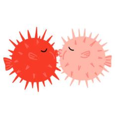kissing blowfish