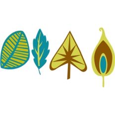 leaf collection