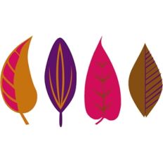 leaf collection