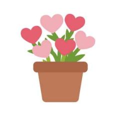lovely plant
