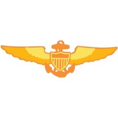 naval aviator wings