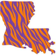louisiana stripes