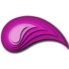 nested paisley