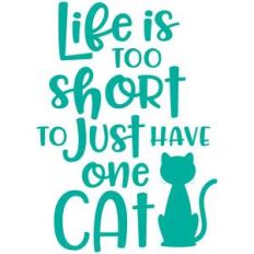 life is too short to just have one cat
