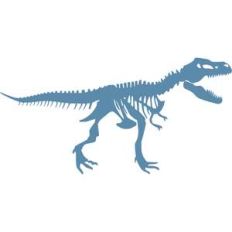 dinosaur bones