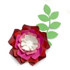 beloved accent flower