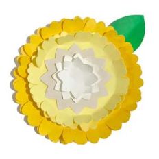 fresh accent flower