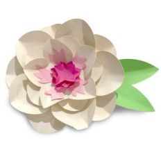 gentle accent flower