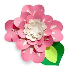 luscious accent flower
