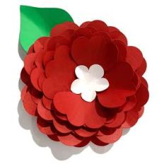 mellow accent flower