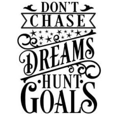 don't chase dreams hunt goals