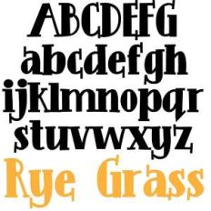 pn rye grass
