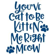 you've cat to be kitten me right meow