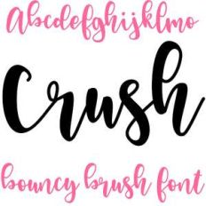 crush bouncy brush font