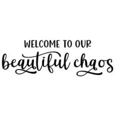 welcome to our beautiful chaos