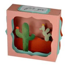 southwest cactus gift card box