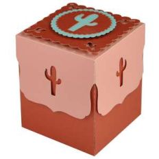 southwest cactus gift box