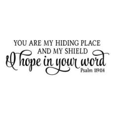 you are my hiding place and my shield