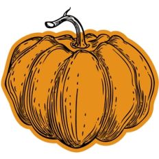 echo park pumpkin