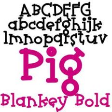 pn pig blankey bold