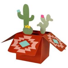 southwest cactus card in a box