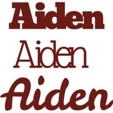 aiden