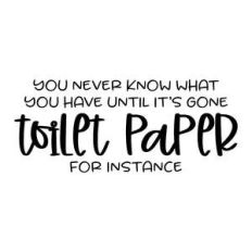 you never know what you have until it's gone - toilet paper
